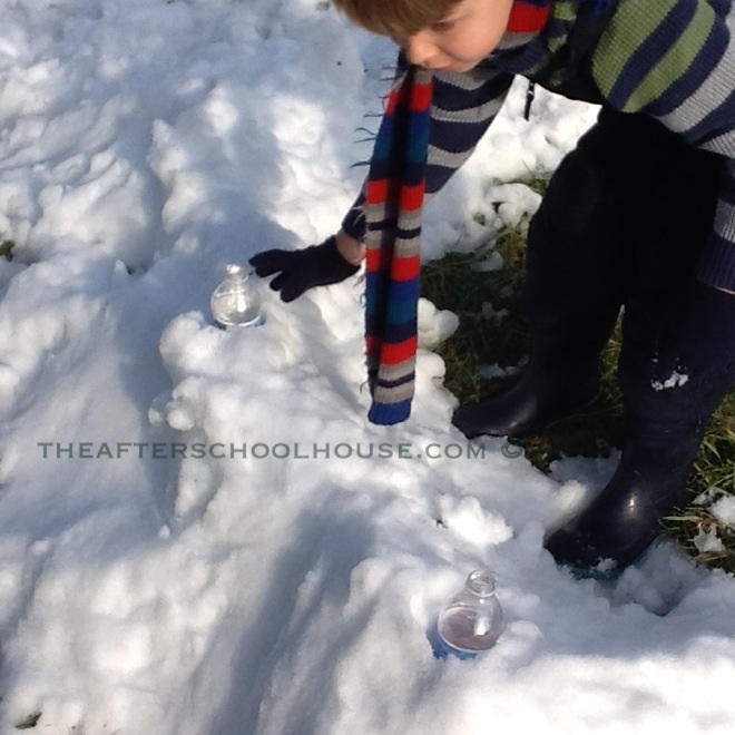 Snow Science with Real Snow